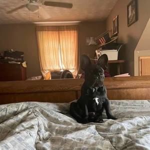 Meet your Posher, Casey